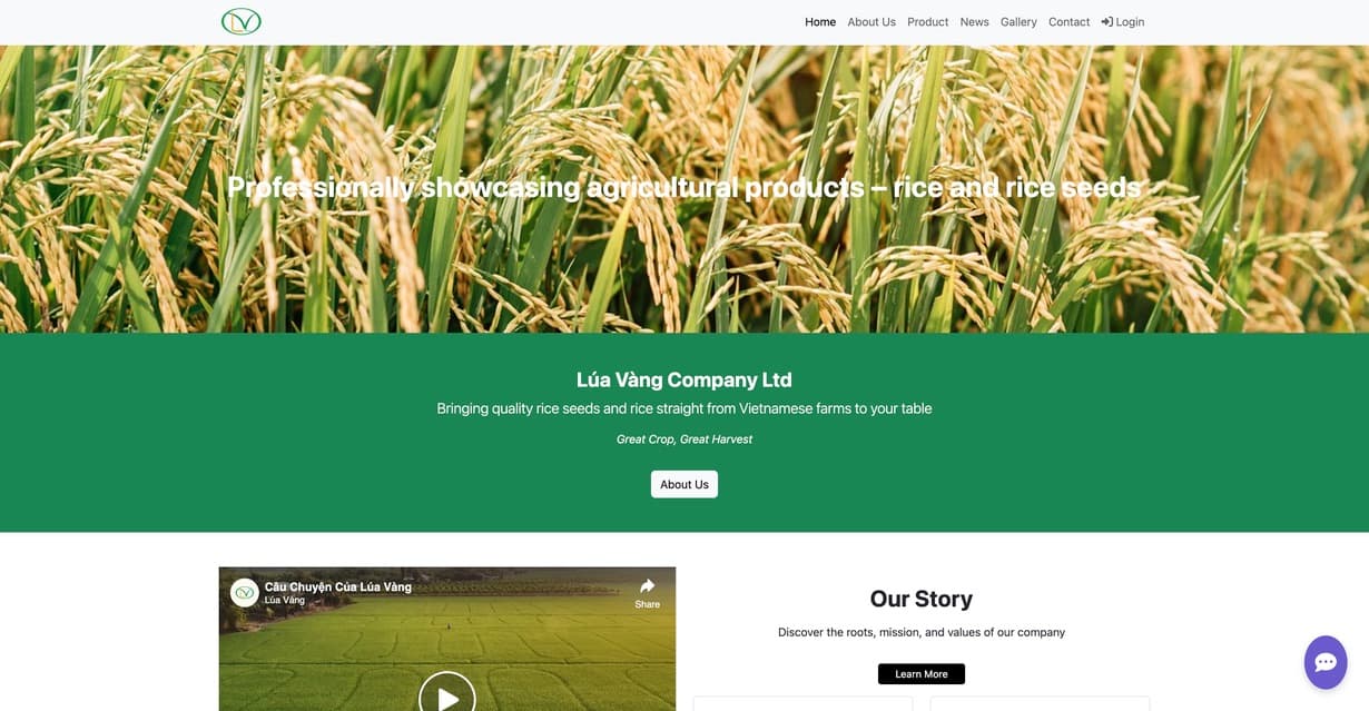 Lua Vang homepage hero section
