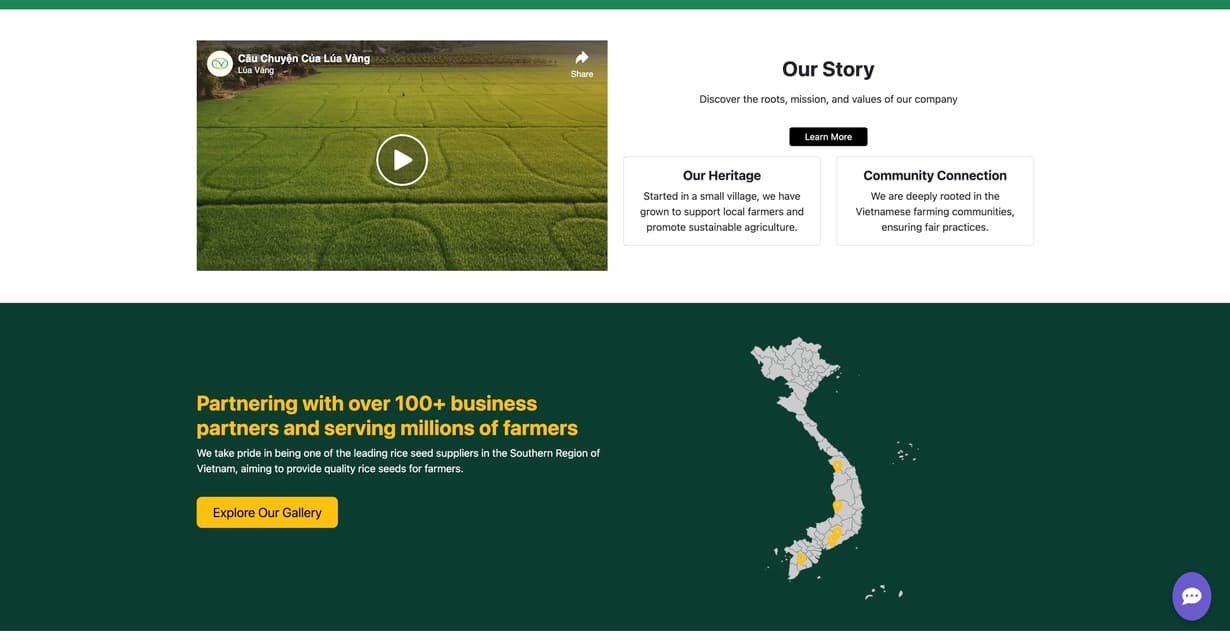 Homepage - About Section