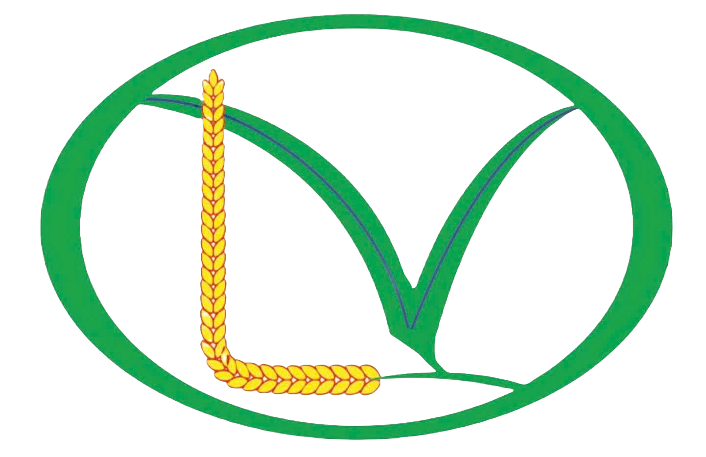 Lua Vang Logo